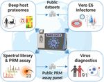 DATA, REAGENTS, ASSAYS AND MERITS OF PROTEOMICS FOR SARS-COV-2 RESEARCH AND TESTING - MEDIATUM