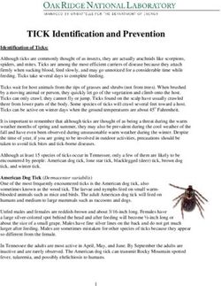 TICK Identification and Prevention