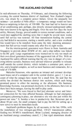 THE AUCKLAND OUTAGE - Lund University