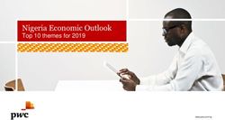 NIGERIA ECONOMIC OUTLOOK - TOP 10 THEMES FOR 2019 - PWC