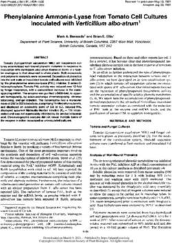 Phenylalanine Ammonia-Lyase from Tomato Cell Cultures Inoculated with Verticillium albo-atrum'