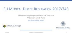 EU MEDICAL DEVICE REGULATION 2017/745 - LABORATORIO DI TECNOLOGIE BIOMEDICHE A.A 2018/2019 PHD STUDENT LICIA DI PIETRO