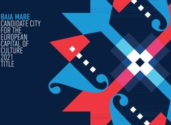 BAIA MARE Candidate CitY for the european Capital of Culture 2021 title