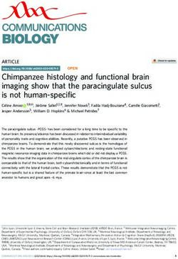 Chimpanzee histology and functional brain imaging show that the paracingulate sulcus is not human-specific - Nature