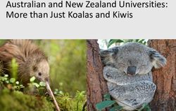 Australian and New Zealand Universities: More than Just Koalas and Kiwis