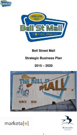 Bell Street Mall Strategic Business Plan 2015 2020