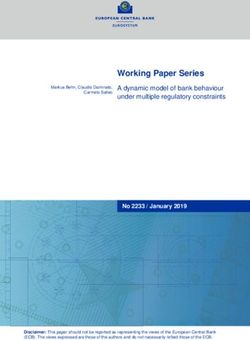 Working Paper Series A dynamic model of bank behaviour under multiple regulatory constraints