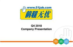 Q4 2018 Company Presentation