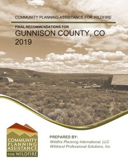 PREPARED BY: Wildfire Planning International, LLC Wildland Professional Solutions, Inc.