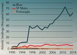 SHARKS UNDER ATTACK Overfished and under protected - A CASE STUDY IN THE NORTH ATLANTIC - Greenpeace