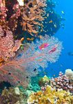 GREAT BARRIER REEF COASTAL ZONE STRATEGIC ASSESSMENT