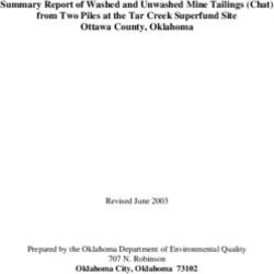 Summary Report of Washed and Unwashed Mine Tailings (Chat) from Two Piles at the Tar Creek Superfund Site Ottawa County, Oklahoma - Oklahoma City ...
