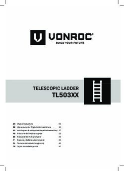 TL503XX TELESCOPIC LADDER - ManoMano