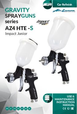 GRAVITY SPRAYGUNS series - USE & MAINTENANCE INSTRUCTION - Anest Iwata