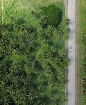 Riding the Wave: Navigating the ESG Landscape for Sovereign Debt Managers - EQUITABLE GROWTH, FINANCE & INSTITUTIONS INSIGHT