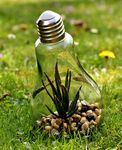 Riding the Wave: Navigating the ESG Landscape for Sovereign Debt Managers - EQUITABLE GROWTH, FINANCE & INSTITUTIONS INSIGHT