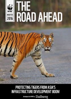 THE ROAD AHEAD - PROTECTING TIGERS FROM ASIA'S INFRASTRUCTURE DEVELOPMENT BOOM 2016