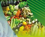 STRATEGIC PLAN 2020/21 2024/25 - National Department of Health