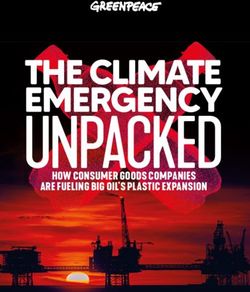 HOW CONSUMER GOODS COMPANIES ARE FUELING BIG OIL'S PLASTIC EXPANSION