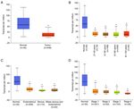 Lower expression of PDZRN3 induces endometrial carcinoma progression via the activation of canonical Wnt signaling
