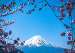 Rugby World Cup 2019, Japan - OFFICIAL TRAVEL PRODUCTS 20 September- 2 November 2019 Version 1.93 - Events Travel