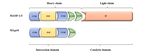 Association of Polymorphisms of MASP1/3, COLEC10, and COLEC11 Genes with 3MC Syndrome - MDPI
