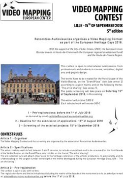 VIDEO MAPPING CONTEST - LILLE - 15TH OF SEPTEMBER 2018 - Rencontres Audiovisuelles