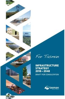 INFRASTRUCTURE STRATEGY 2018 2048 - Tasman District Council
