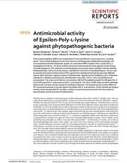 Antimicrobial activity of epsilon poly l lysine against phytopathogenic bacteria - Nature