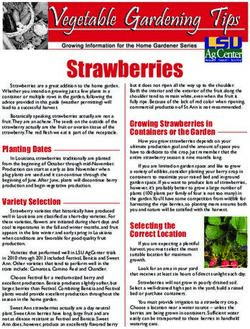 Strawberries - Louisiana State University