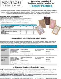 Toaster Pastries Automated Inspection & Intelligent Material Handling for - Montrose Technologies Inc.