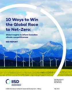 10 Ways to Win the Global Race to Net-Zero: IISD REPORT Global insights to inform Canadian climate competitiveness