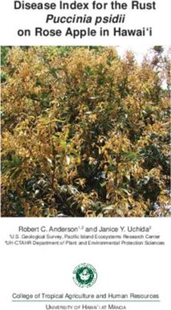 Disease Index for the Rust Puccinia psidii on Rose Apple in Hawai'i