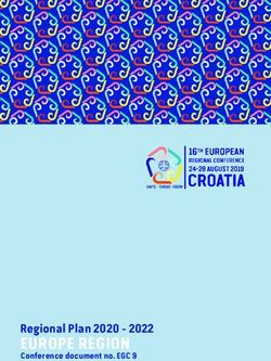 EUROPE REGION Regional Plan 2020 2022 - World ...