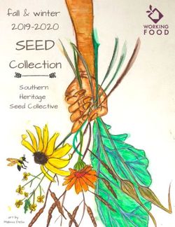 SEED Collection Southern Heritage Seed Collective - Working Food