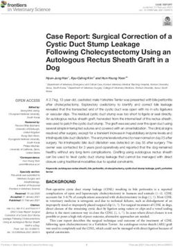 Case Report: Surgical Correction of a Cystic Duct Stump Leakage Following Cholecystectomy Using an Autologous Rectus Sheath Graft in a Dog - Frontiers