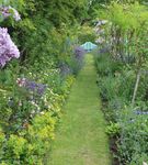 Celebrations at West Green House Gardens - An Idyllic Garden Venue in the heart of the Hampshire Countryside