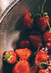 HELLO SUNSHINE - ACTIVELIFE BEAUTY NOTEBOOK EATRIGHT LIVEWELL - HERBALIFE TODAY MAGAZINE