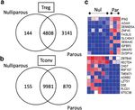 Characterisation of peri-implantation endometrial Treg and identification of an altered phenotype in recurrent pregnancy loss