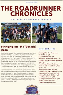 THE ROADRUNNER CHRONICLES