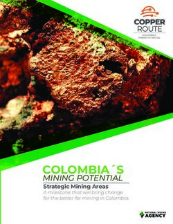COLOMBIA S MINING POTENTIAL Strategic Mining Areas A milestone that will bring change for the better for mining in Colombia.