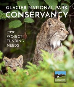 PROJECT FUNDING NEEDS 2020 - Glacier.org