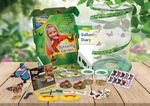 InsectLore.uk - Butterflies and Nature for Parents and Teachers