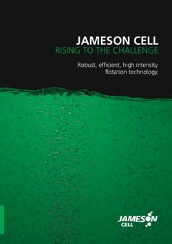 JAMESON CELL RISING TO THE CHALLENGE - Robust, efficient, high intensity flotation technology.