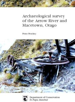 Archaeological survey of the Arrow River and Macetown, Otago - Peter Petchey