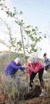 Mission Trails Regional Park News - IN THIS ISSUE MTRP Volunteers Honored 5-Peak Challenge Tops 10,000 Trees Take Root at Annual Arbor Day ...