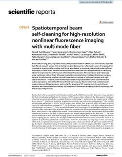 Spatiotemporal beam self cleaning for high resolution nonlinear fluorescence imaging with multimode fiber