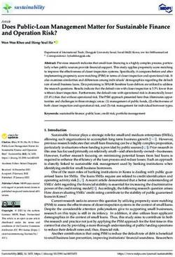 Does Public-Loan Management Matter for Sustainable Finance and Operation Risk? - MDPI