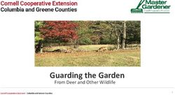 Guarding the Garden From Deer and Other Wildlife