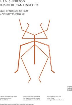 HAMISH FULTON INSIGNIFICANT INSECT ? - GALERIE THOMAS SCHULTE - Galerie ...